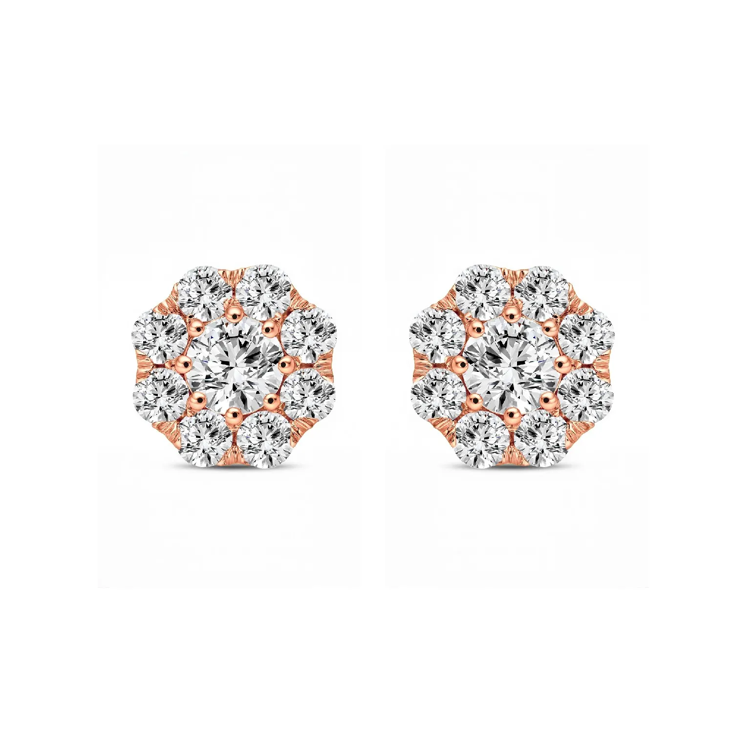 79-QIER0253-1-RG