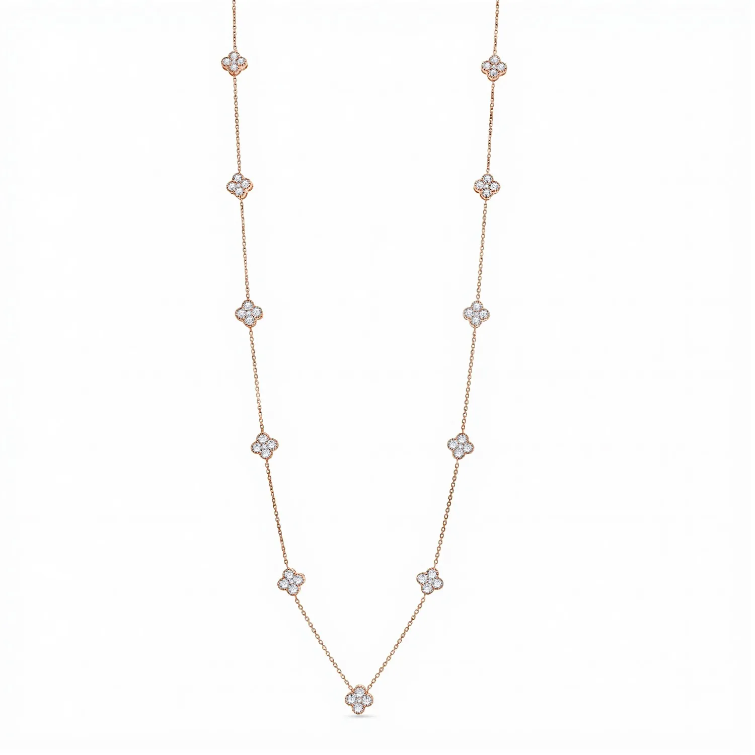 LN00005 (1)